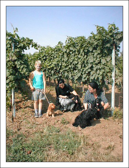 Dovolená Bojanovice 2003