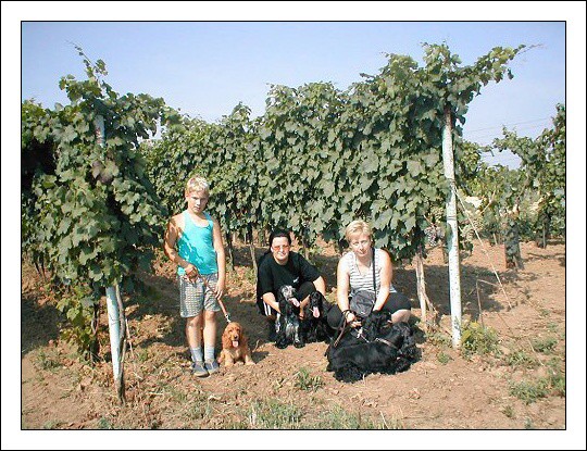 Dovolená Bojanovice 2003