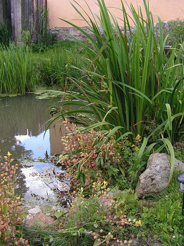 img00005.jpg