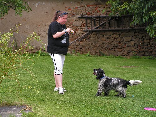 img00010.jpg