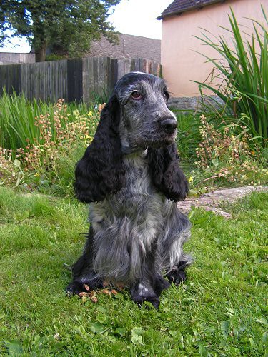 img00016.jpg