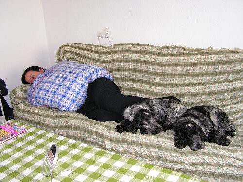 img00019.jpg