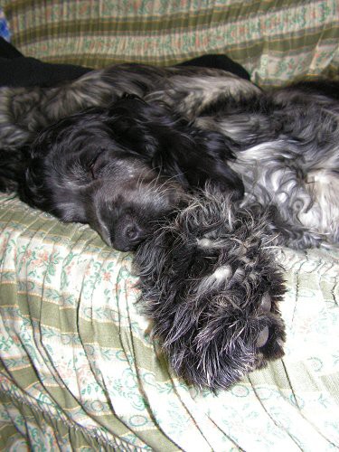img00024.jpg