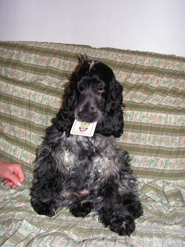 img00043.jpg