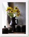 P8220144 * 450 x 600 * (73KB)