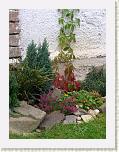 P8300013 * 450 x 600 * (116KB)