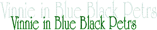 Vinnie in Blue Black Petrs